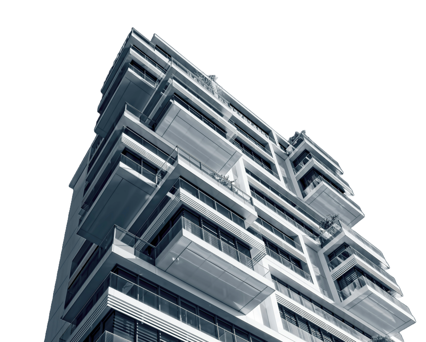 omcProfessional Dashboard